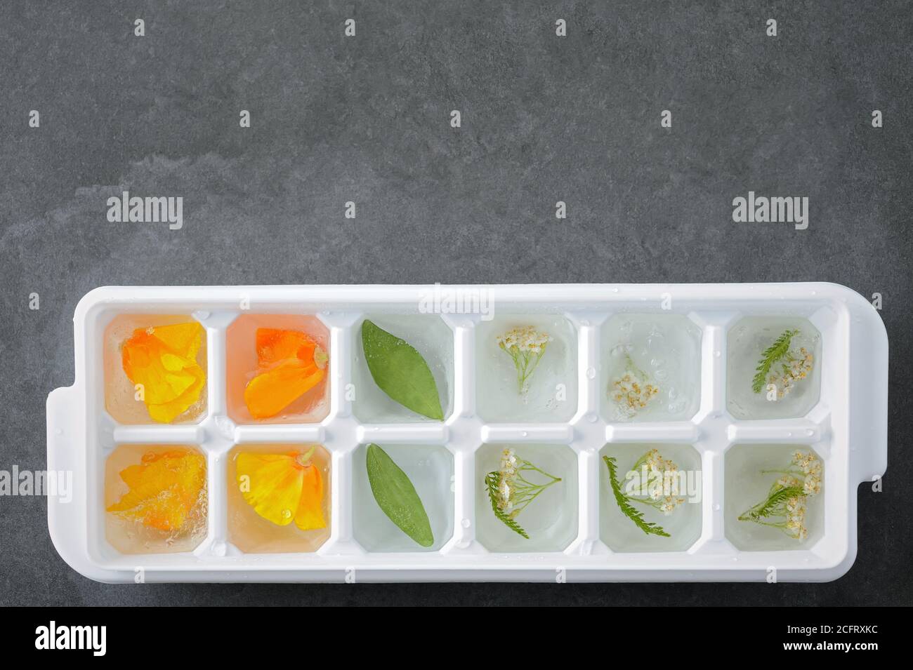 https://c8.alamy.com/comp/2CFRXKC/floral-ice-flowers-and-herbs-in-ice-mold-with-water-preparation-for-freezing-2CFRXKC.jpg