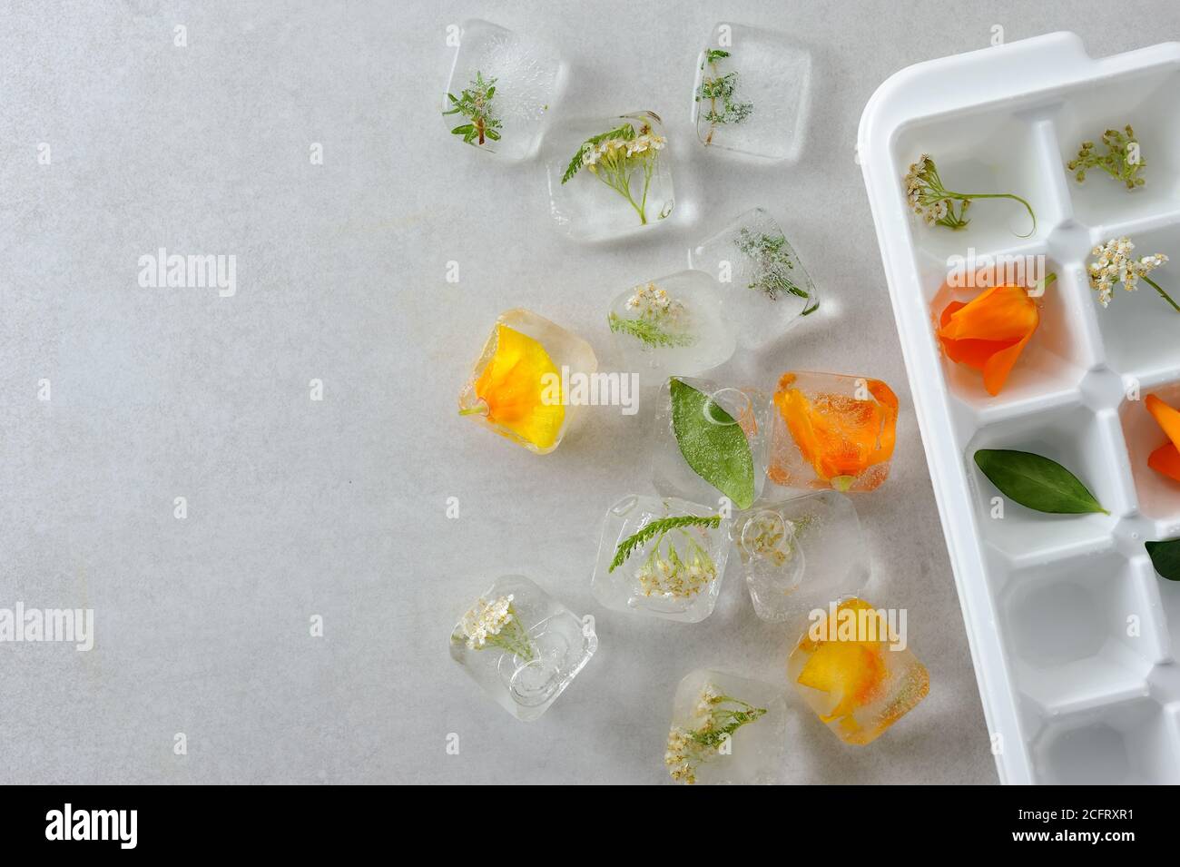 https://c8.alamy.com/comp/2CFRXR1/floral-ice-cubes-on-the-gray-background-with-ice-mold-edible-flowers-frozen-in-ice-cubes-horizontal-with-space-for-text-2CFRXR1.jpg