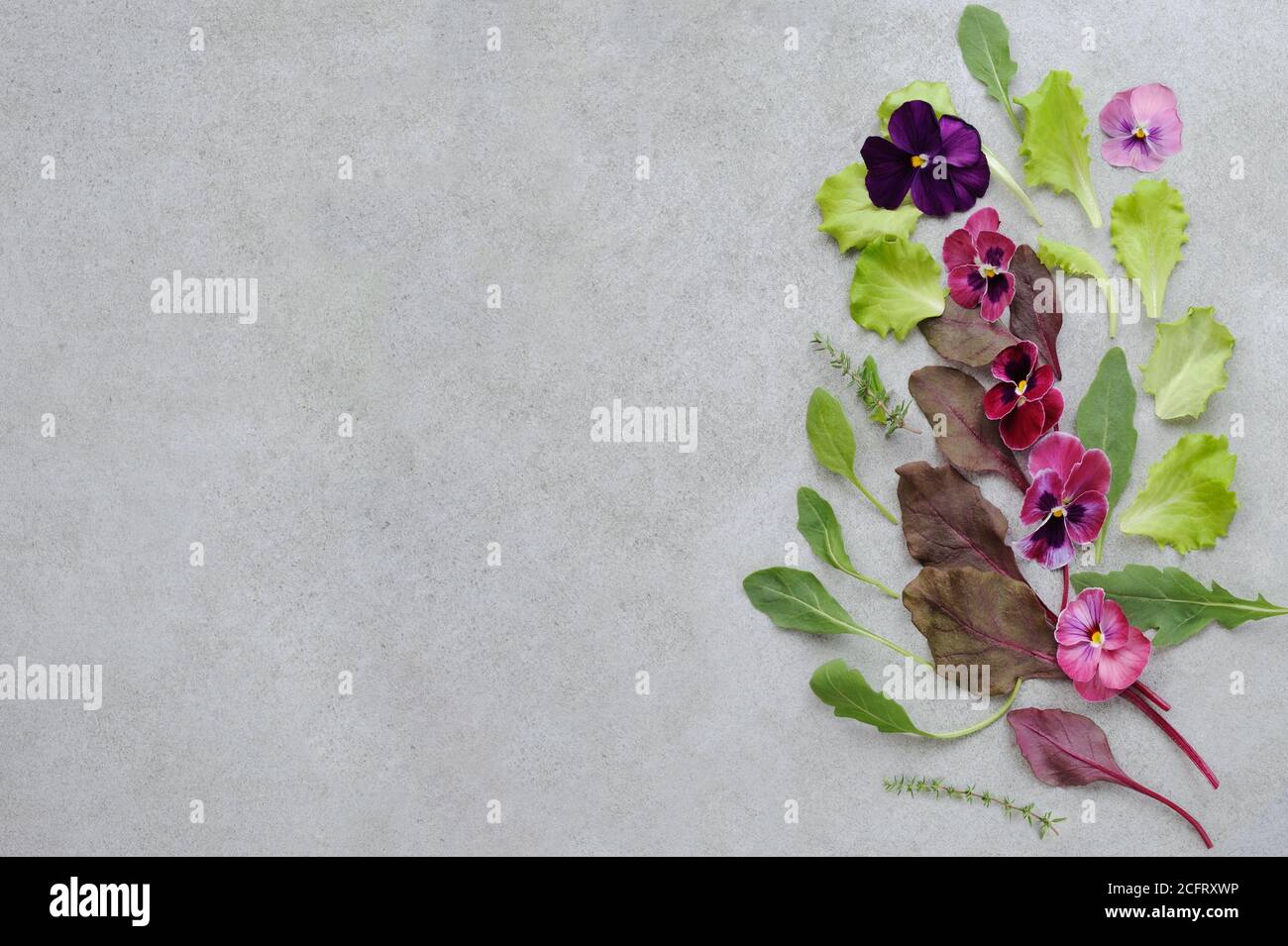 Edible flowers for decorating dishes and lettuce on the gray stone background.Food background. Top view. Stock Photo