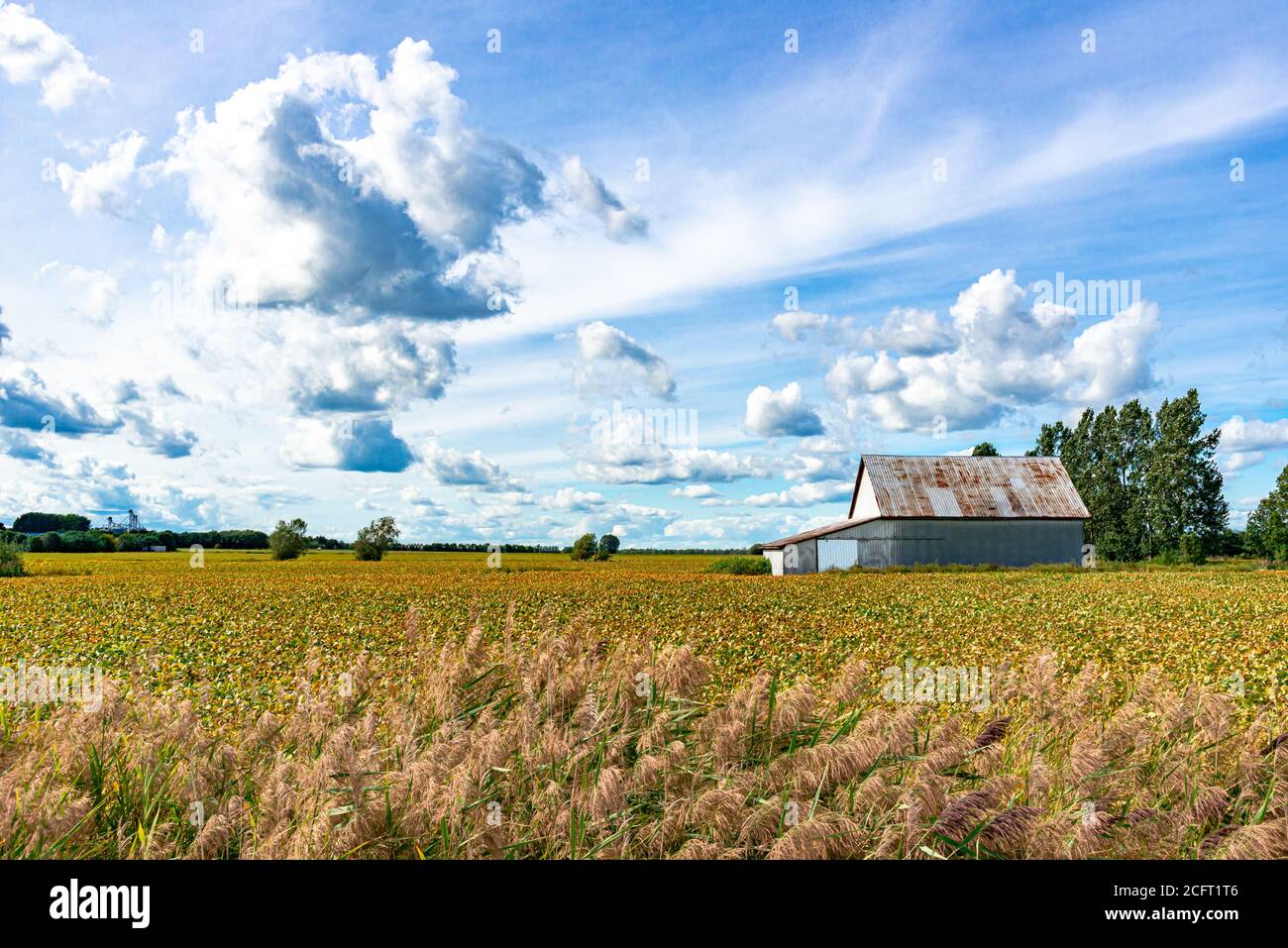 beautiful-scene-four-colorful-hi-res-stock-photography-and-images-alamy