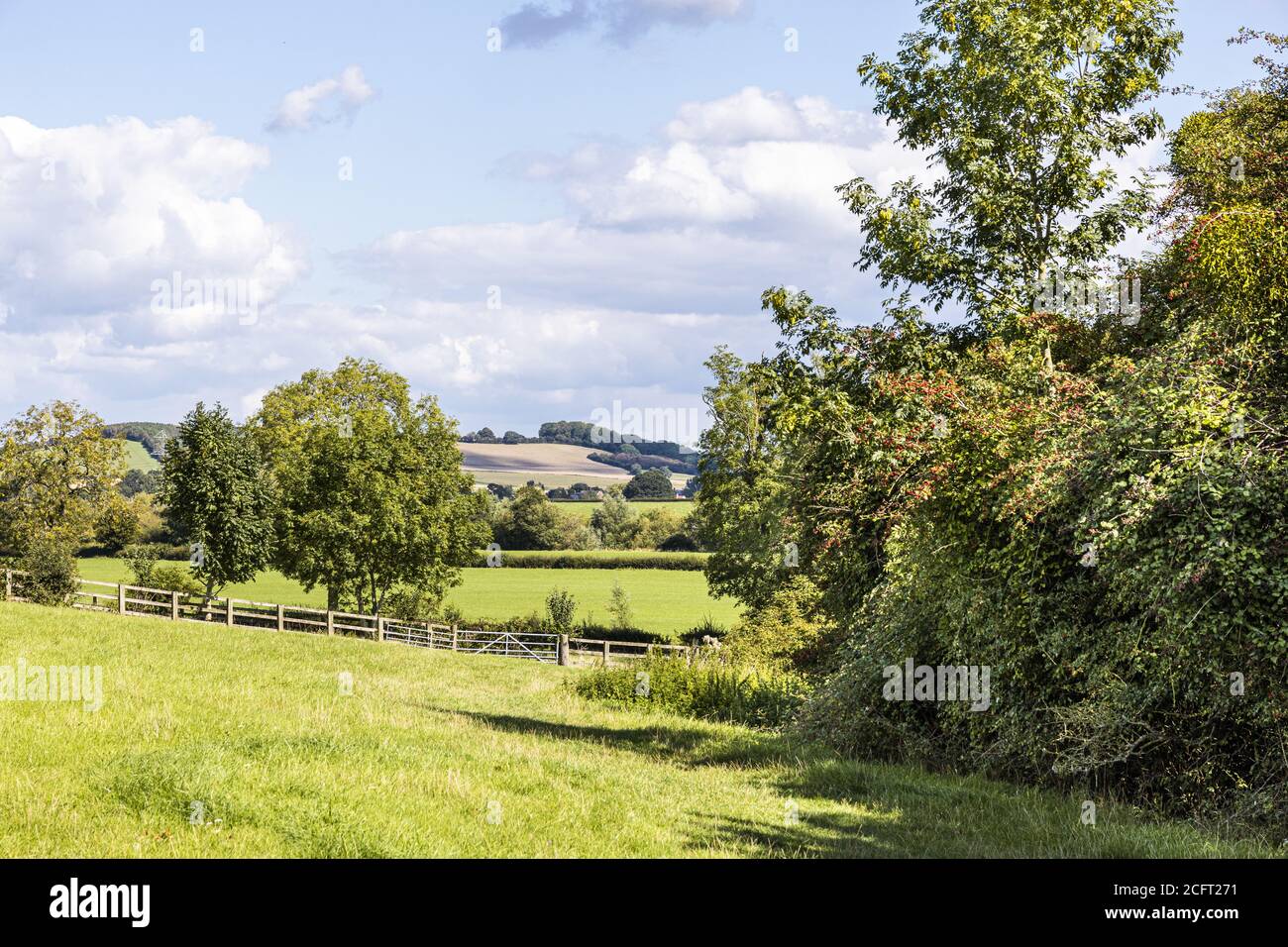 An early autumn landscape near the Severn Vale village of Maisemore, Gloucestershire UK Stock Photo