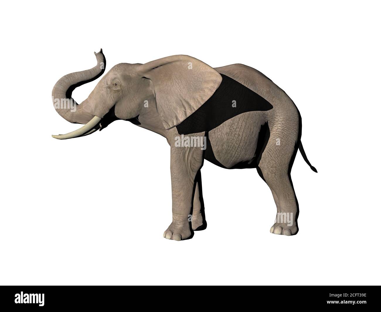Elefant mit Stoßzähnen Stock Photo
