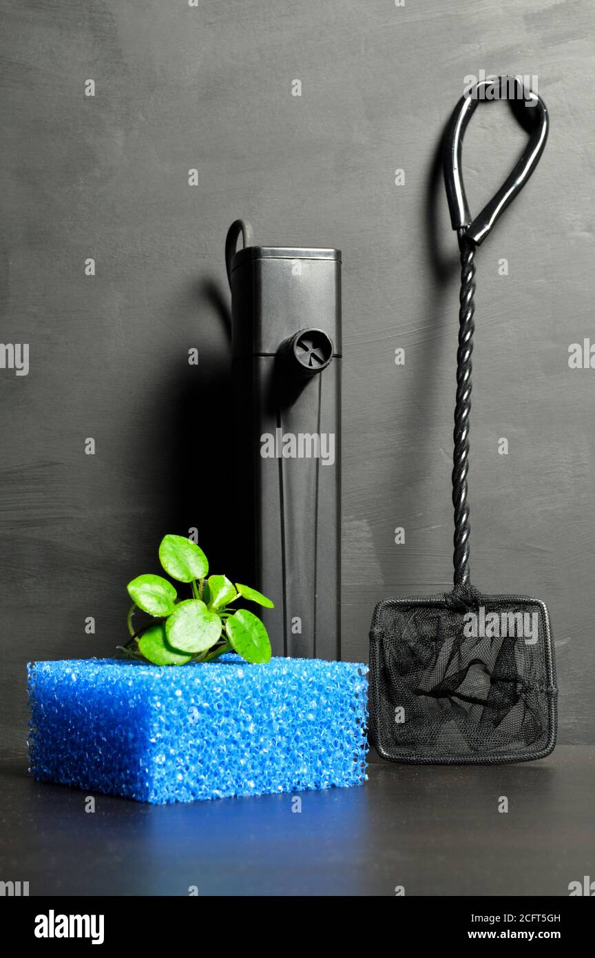 Aquarium filter with accessories for aquarium fish Stock Photo - Alamy