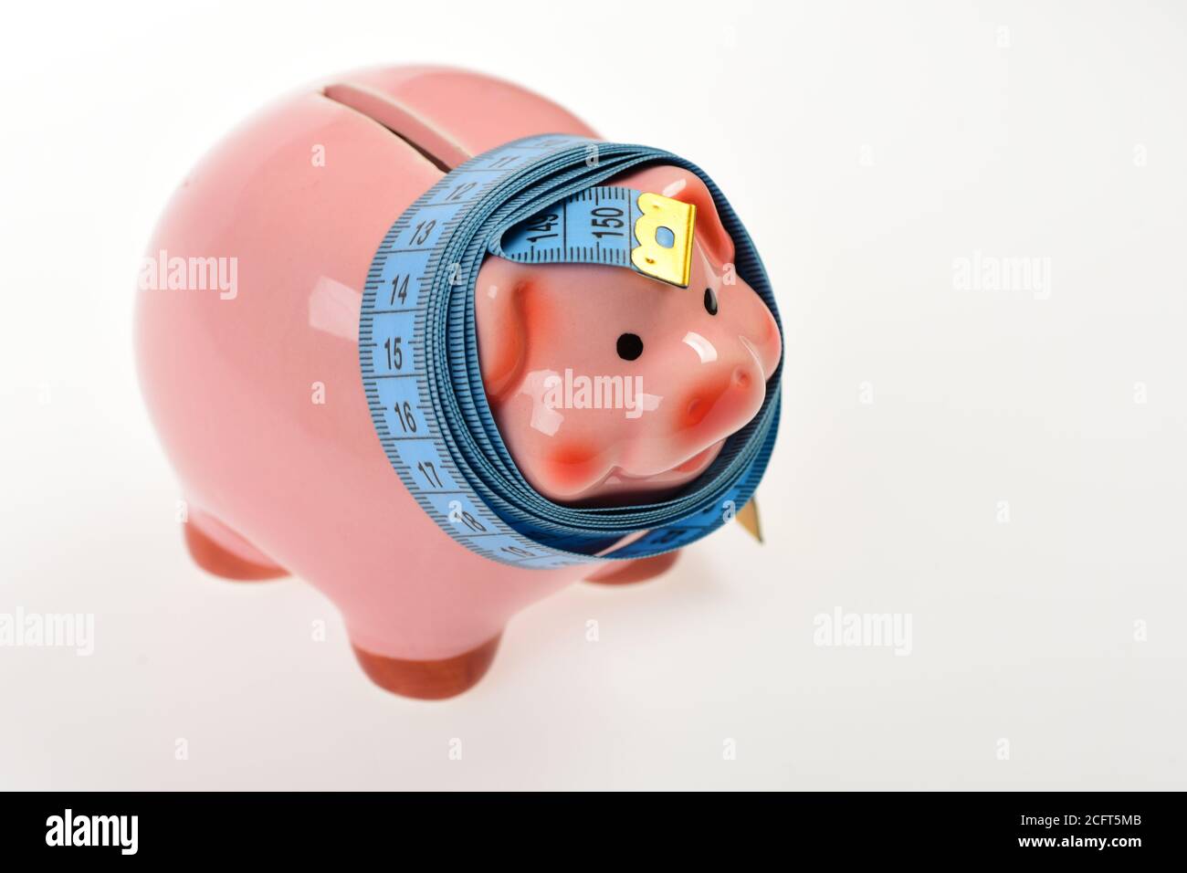 counting pig toy