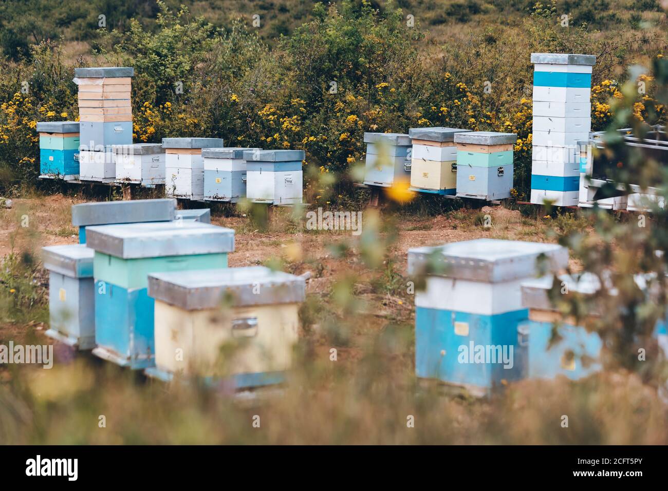Bee hives and lake hi-res stock photography and images - Alamy