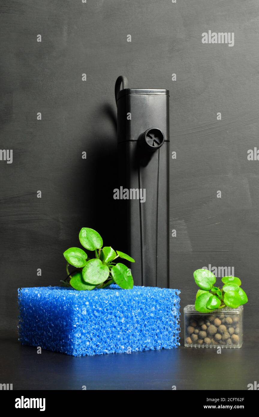 Image showcasing Aquarium filter with accessories for aquarium fish Stock Photo - Alamy