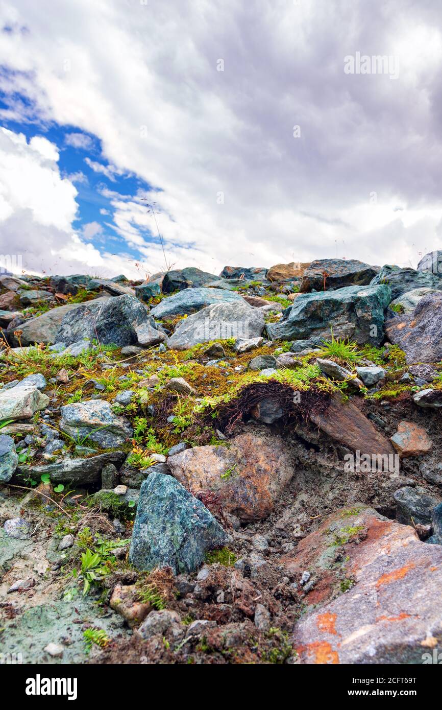 Soil profile of a Leptosol and the peak of Hinteres Modereck at the Elendboden at the Grossglockner High Alpine Road Stock Photo