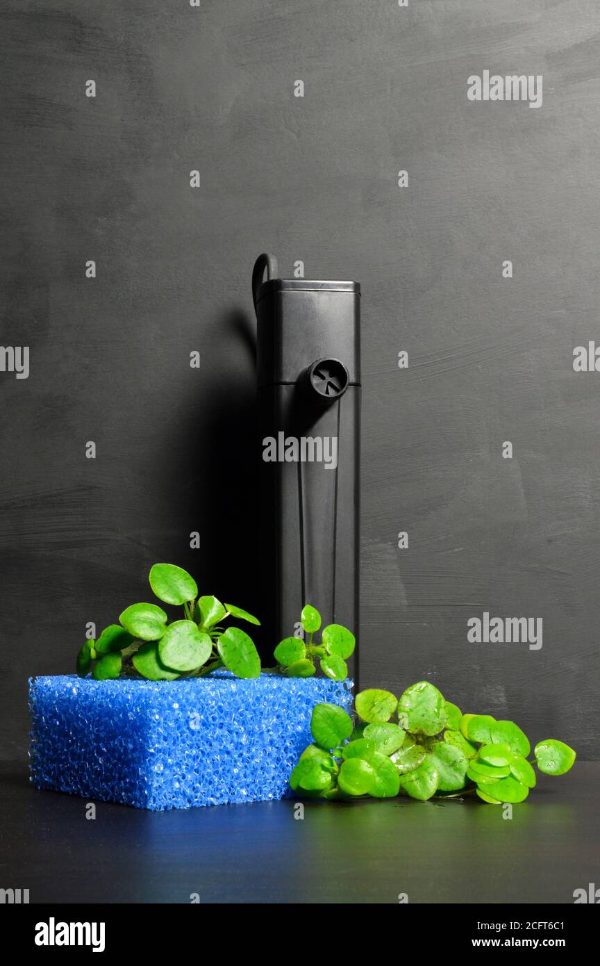 Image showcasing Aquarium filter with accessories for aquarium fish Stock Photo - Alamy