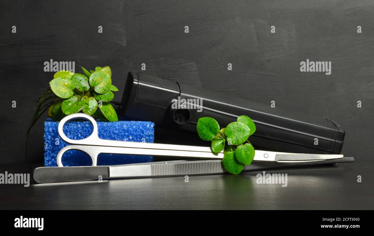 Aquarium filter with accessories for aquascaping Stock Photo