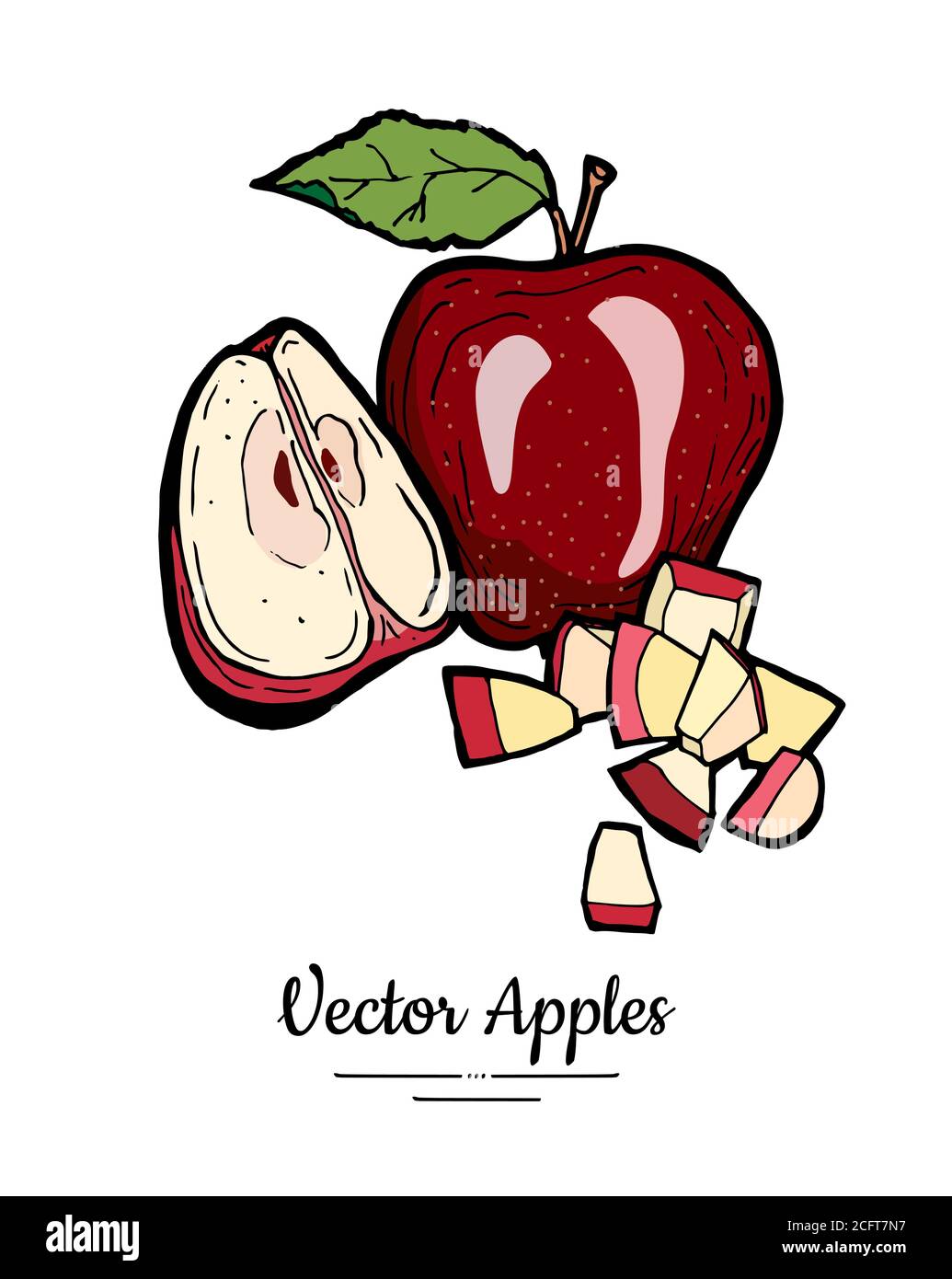 Apples vector isolated set. Whole quarter cut chopped apples. Red fruit