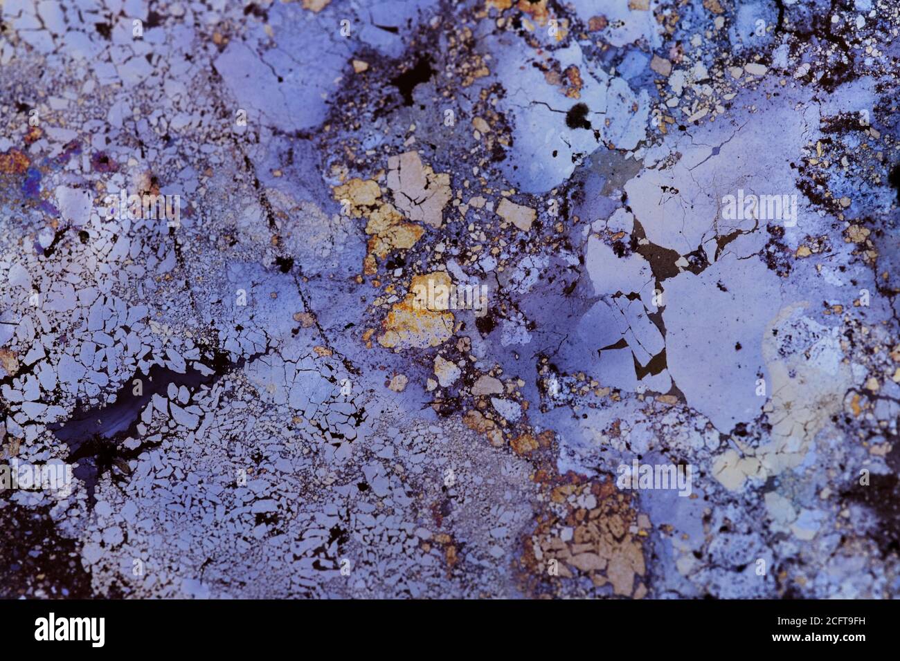 Colorful pattern Natural oil residue on water Stock Photo Alamy