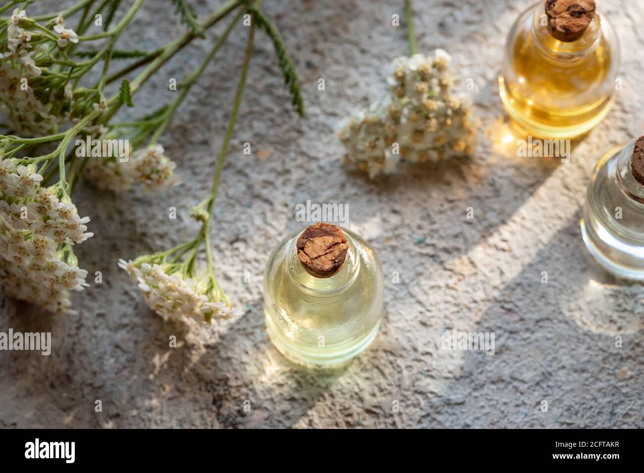 Bottles of essential oil with fresh blooming yarrow twigs Stock Photo ...