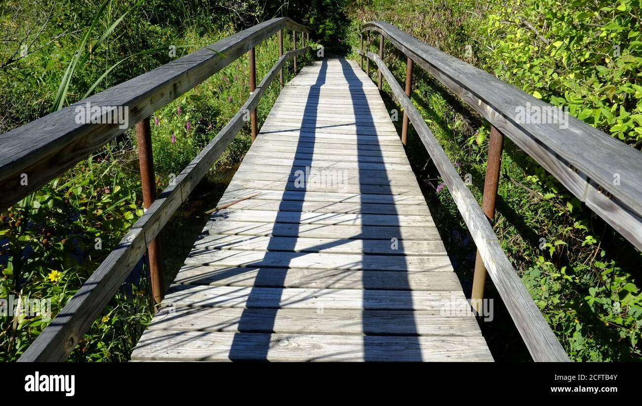 Pressure treated wooden walkway hires stock photography and images Alamy