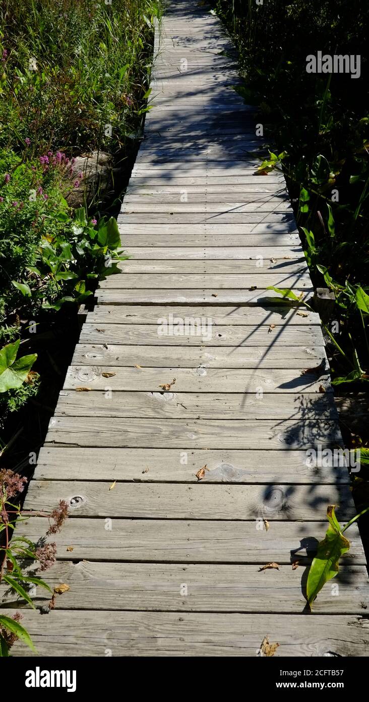 USA, NY State, Saugerties, wooden elevated walkway, higher than high tide , leading to Saugerties Lighthouse Stock Photo