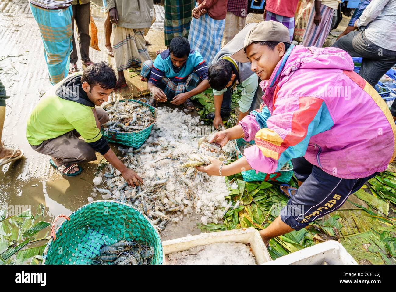 Chittagong, Bangladesh, December 23, 2017: Fishermen are sorting through freshly caught shrimp at the fish market in Chittagong Stock Photo