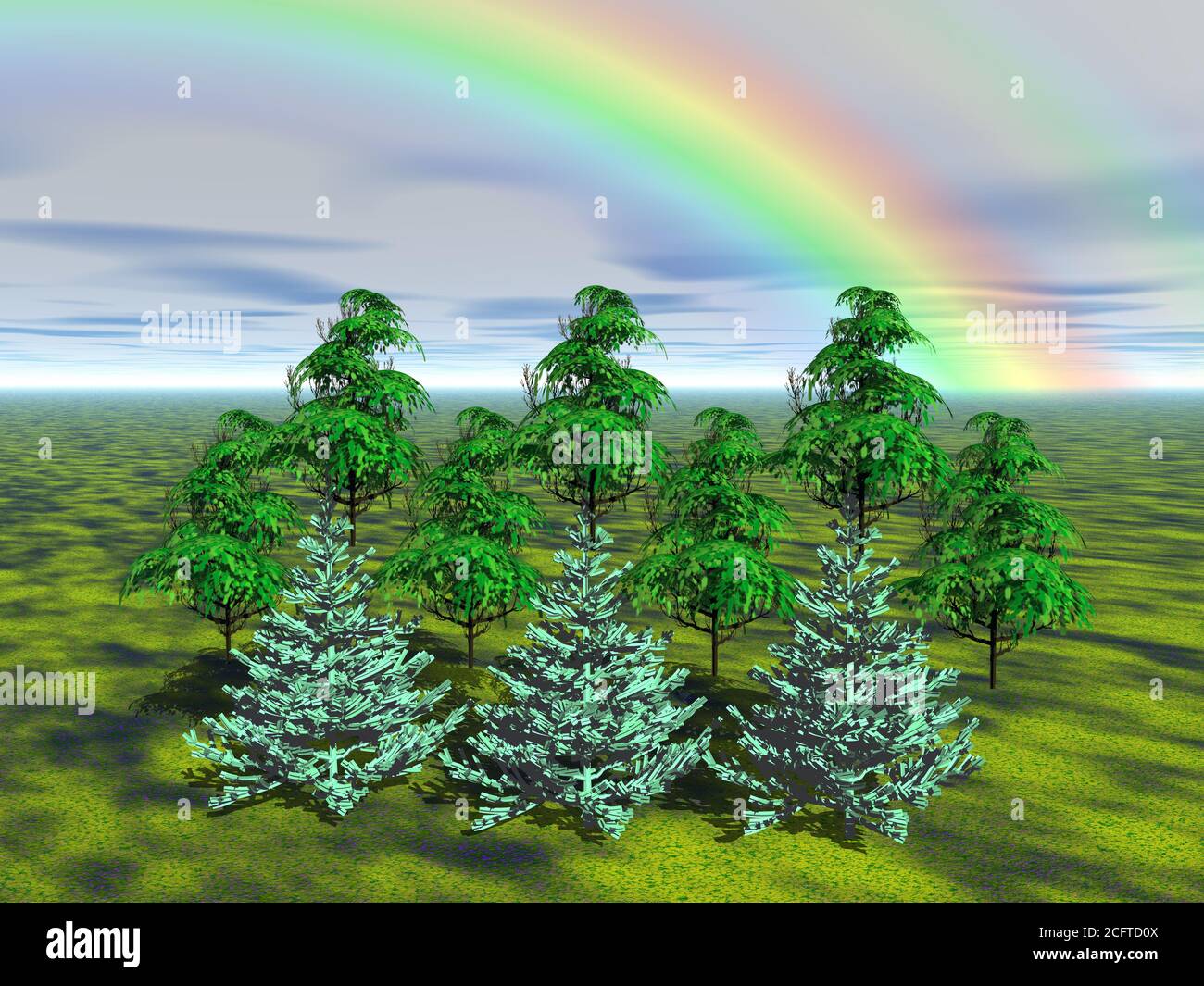 Mischwald vor Regenbogen Stock Photo