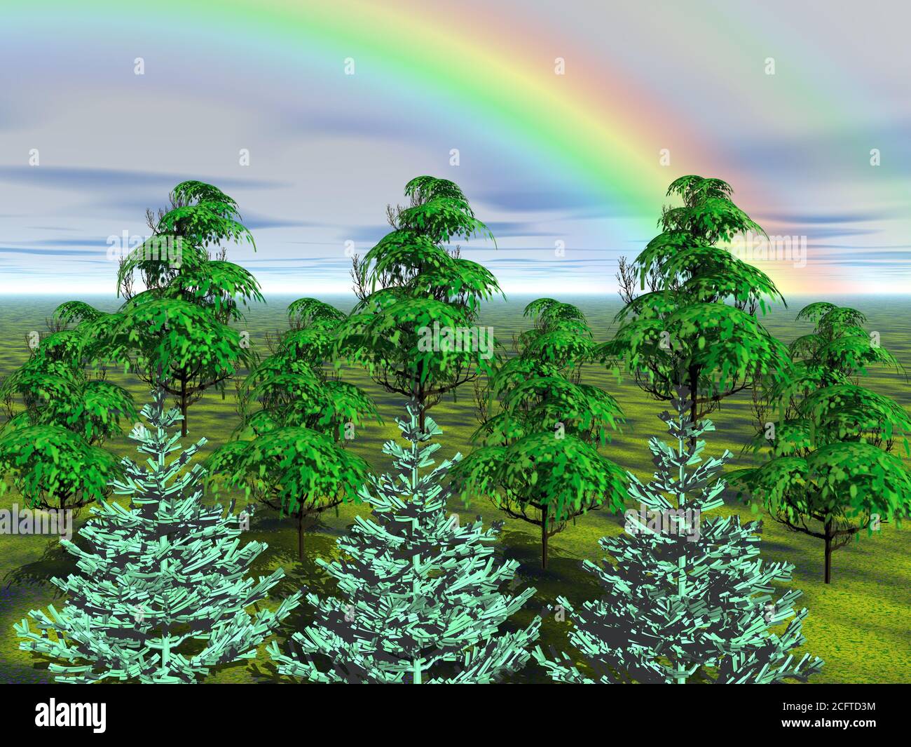 Mischwald vor Regenbogen Stock Photo