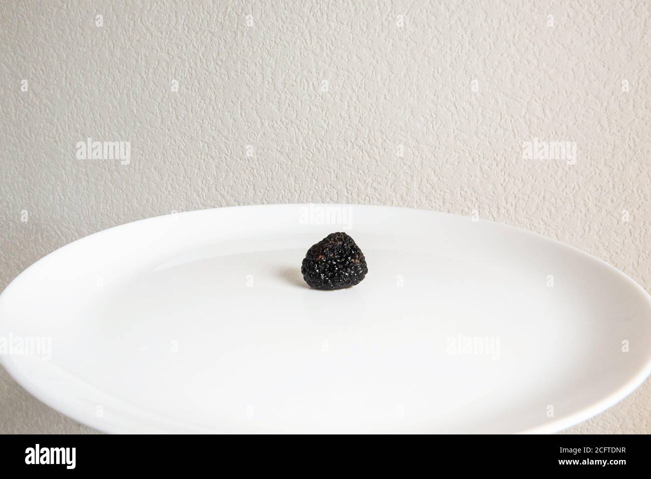 Rare Delicacy mushroom black truffle Stock Photo