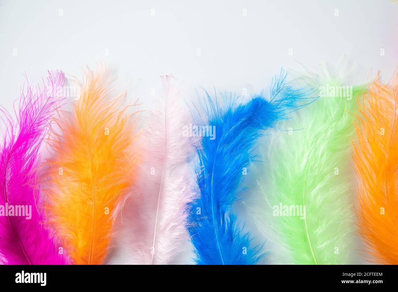 Multi-colored light feathers on a white background. The process of creating decorations for the holiday, feather for boa. Stock Photo