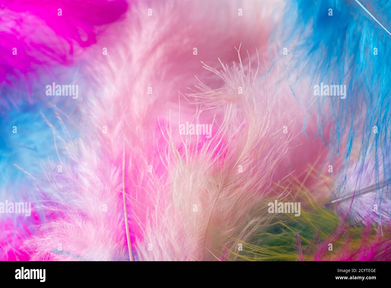 Many light multi-colored feathers for a carnival costume. Background