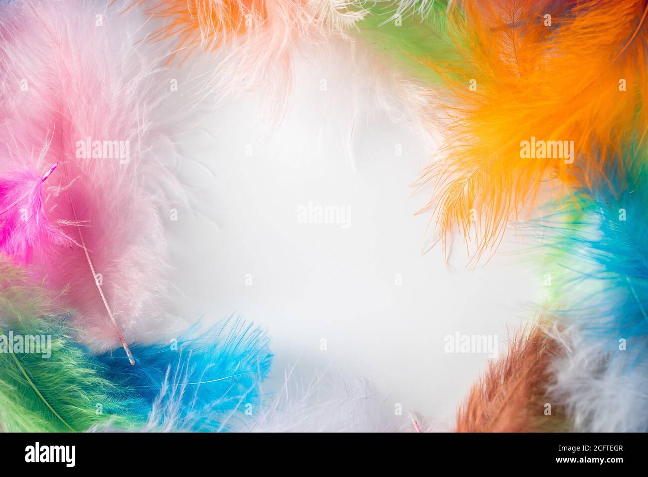 Frame of multi-colored light feathers on a white background. Background for carnival, place for your text Stock Photo - Alamy Frame of multi-colored light feathers on a white background. Background for carnival, place for your text Stock Photo - Alamy