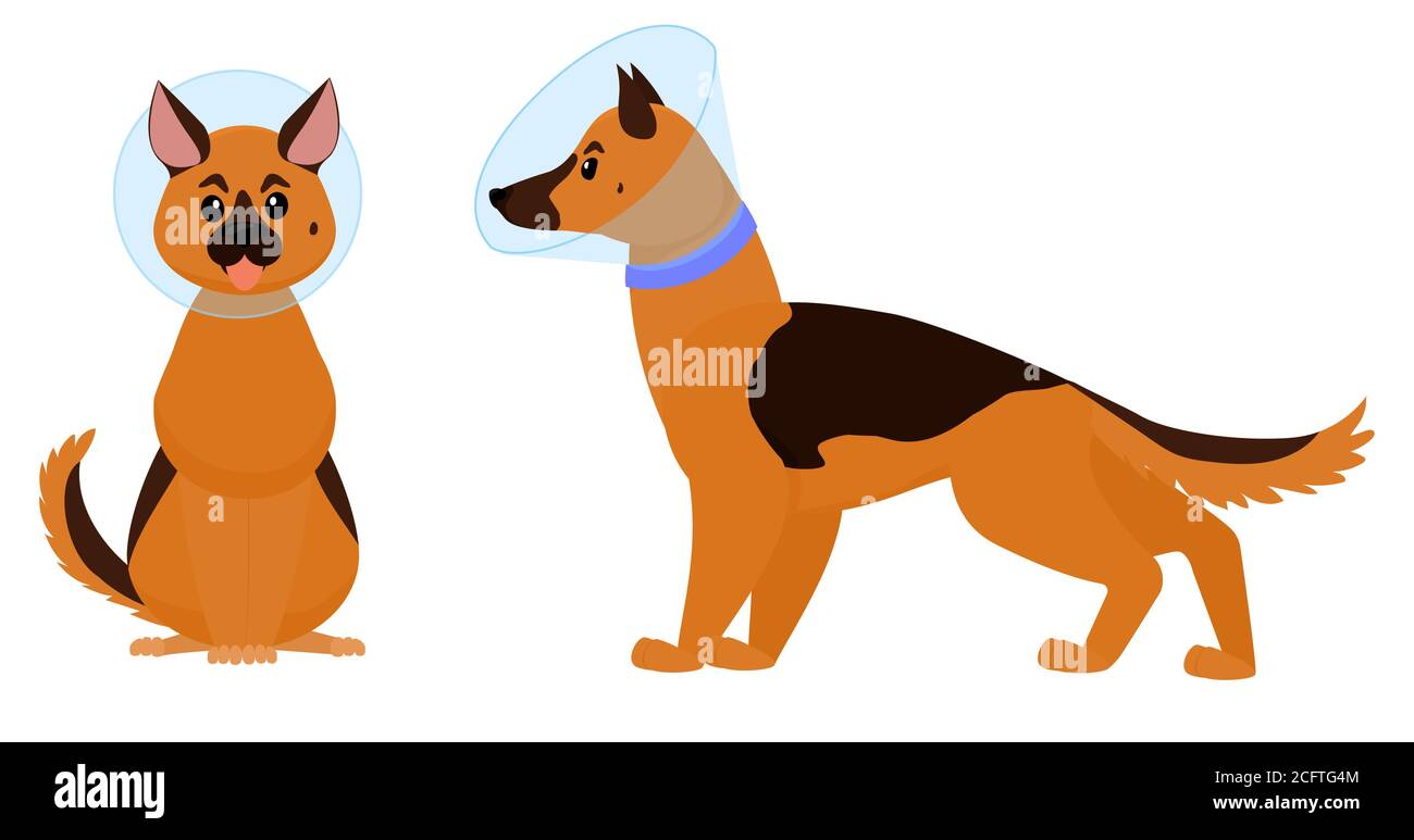 dog cone cartoon dog with elizabethan collar isolated on white