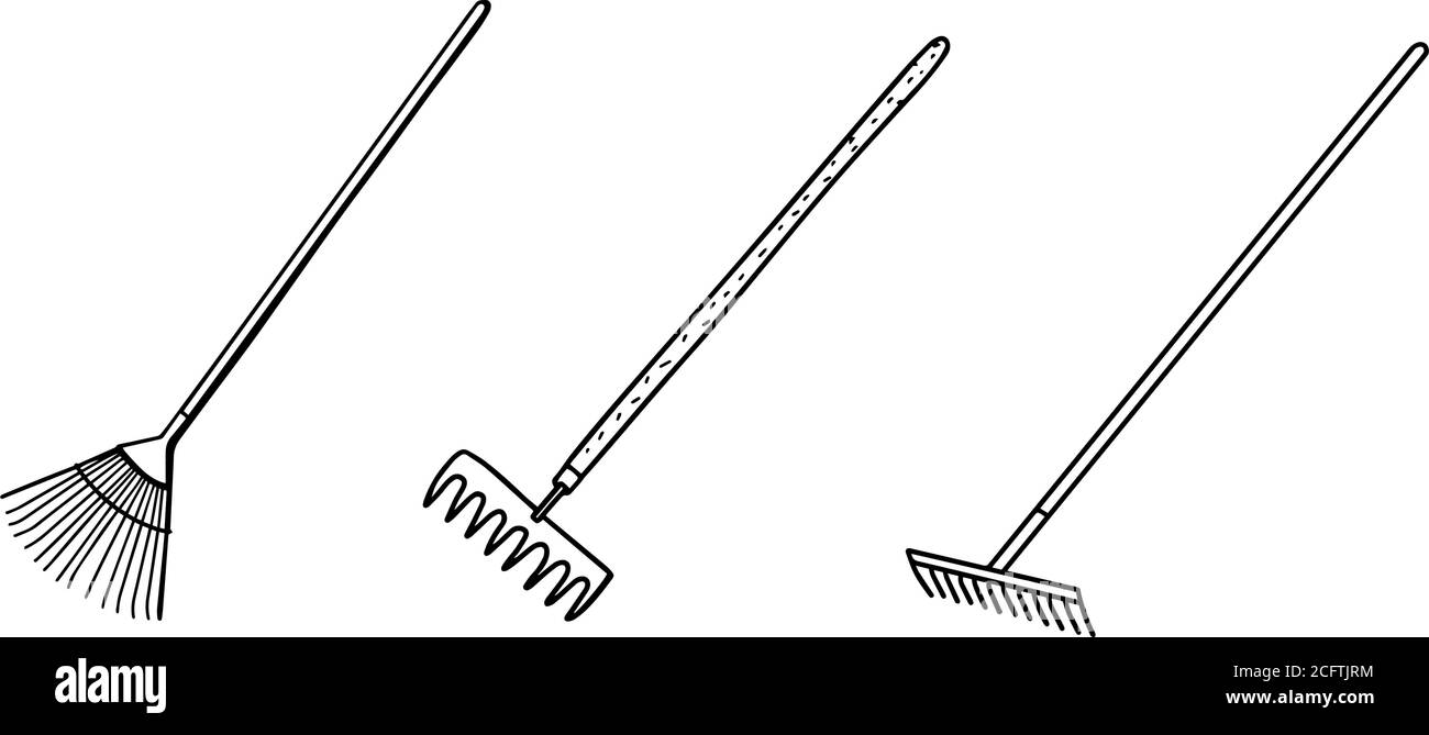 Earth Rake Fan plants Stock Vector Images - Alamy