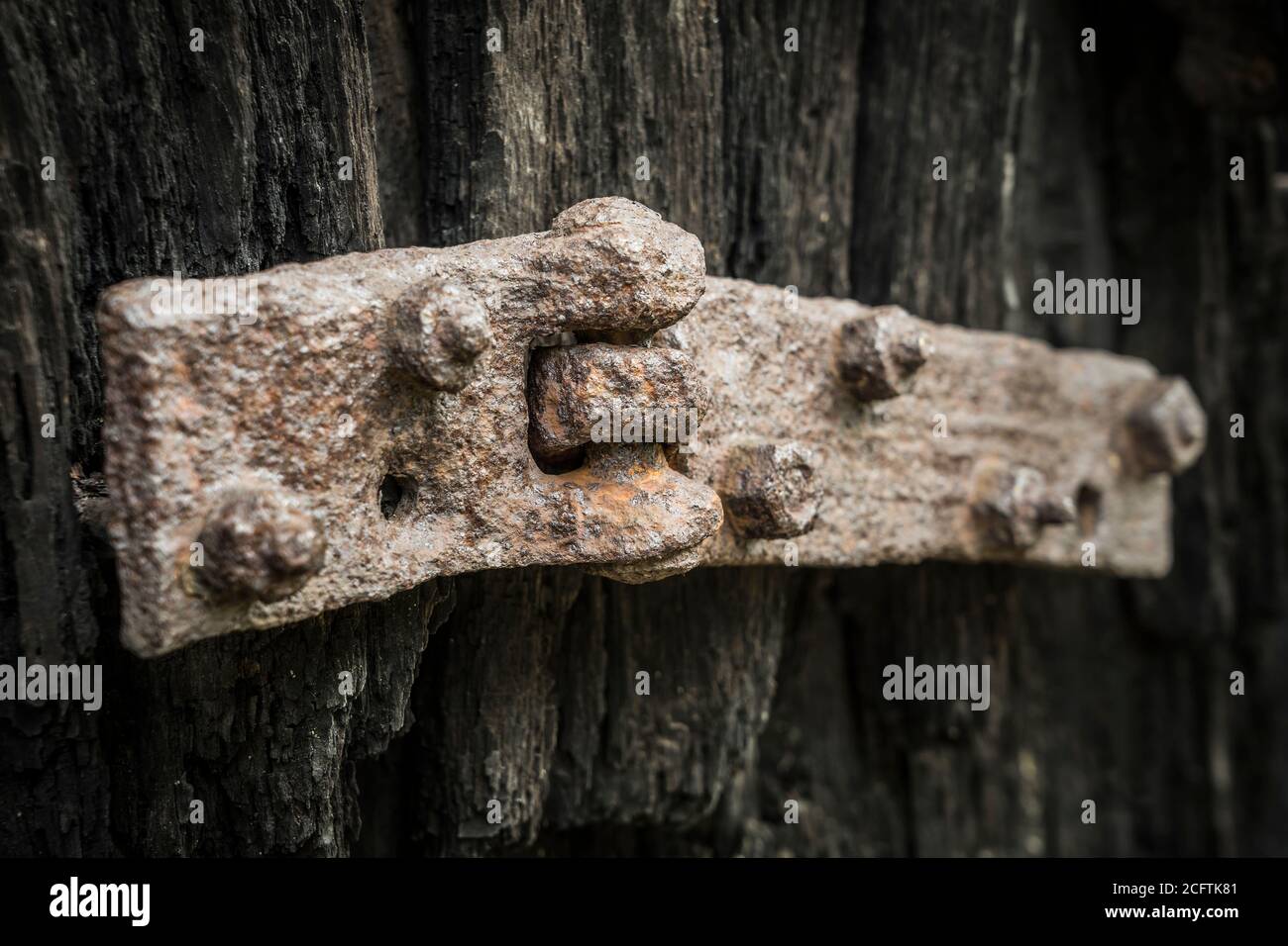 old wooden door with rusty hinge Stock Photo