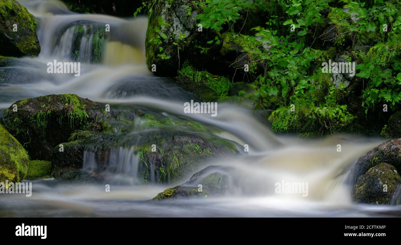 Detail of lovely waterfalls among green mossy rocks, taken in a river in Charlevoix, Quebec Stock Photo