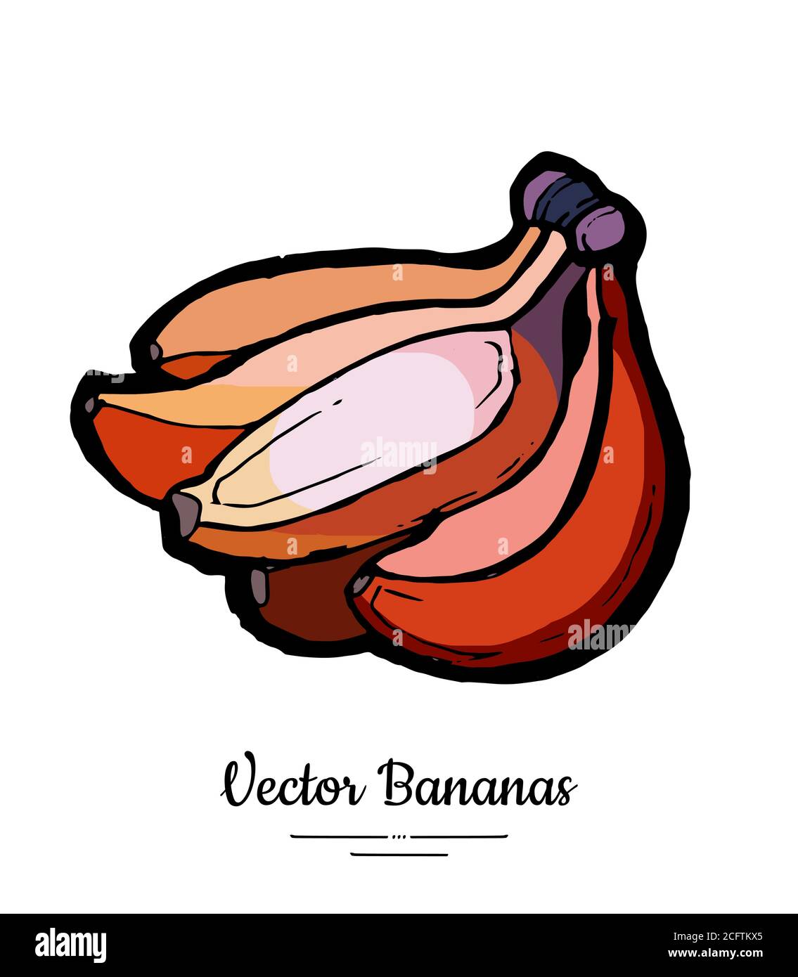 Bananas set vector isolated. Whole red banana bunch. Sweet fruit