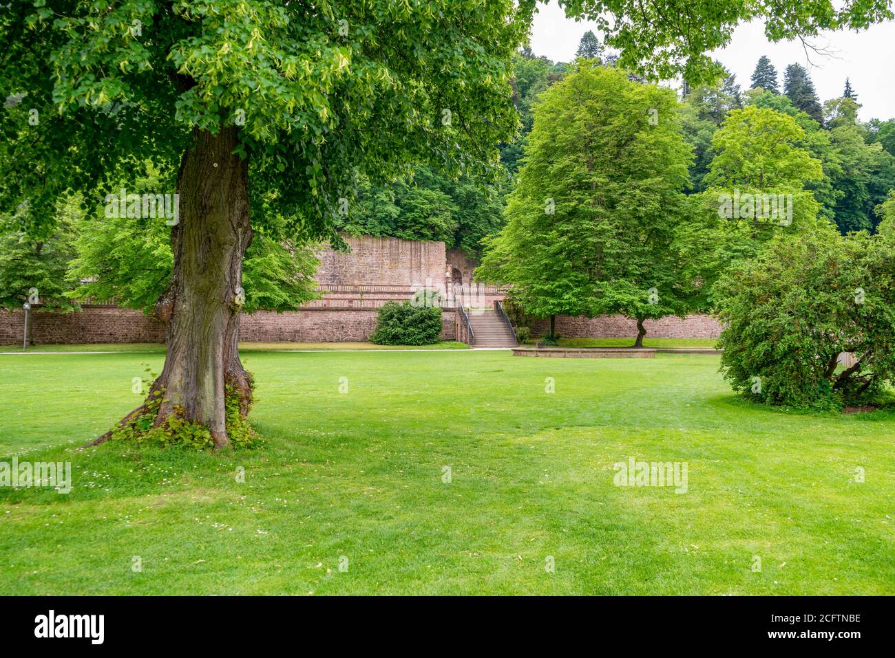 idyllic park scenery in Heidelberg at summer time Stock Photo
