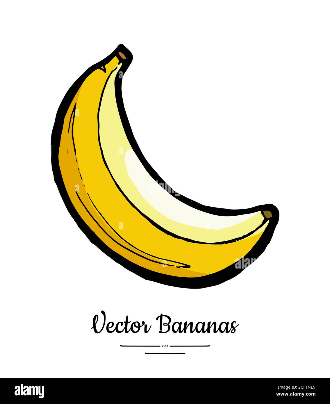 Premium Vector  Banana bunch illustration in a hand-drawn style