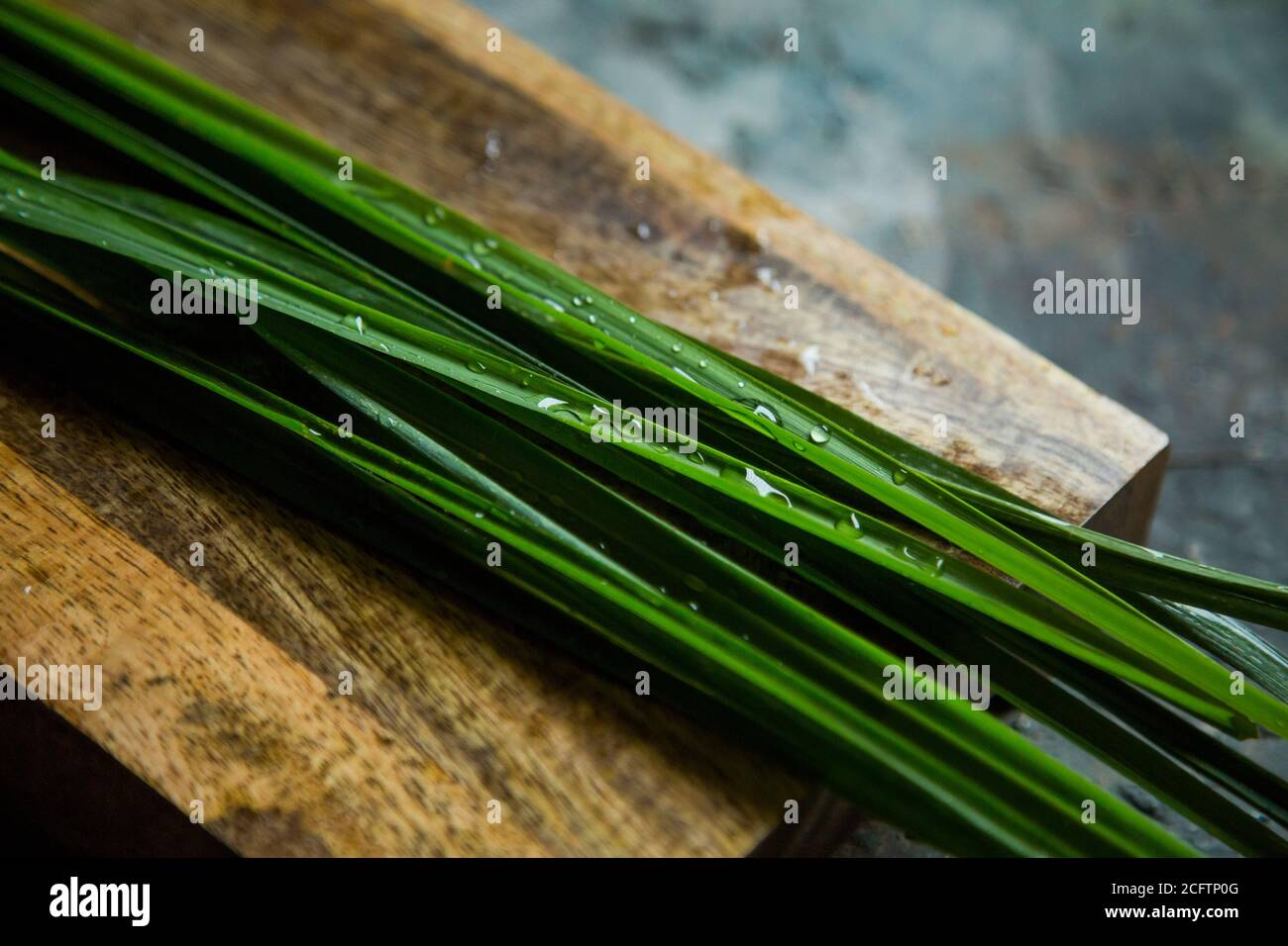 Fresh lemongrass or citronella grass on rustic wooden board. Herb used for healthy eating. Stock Photo