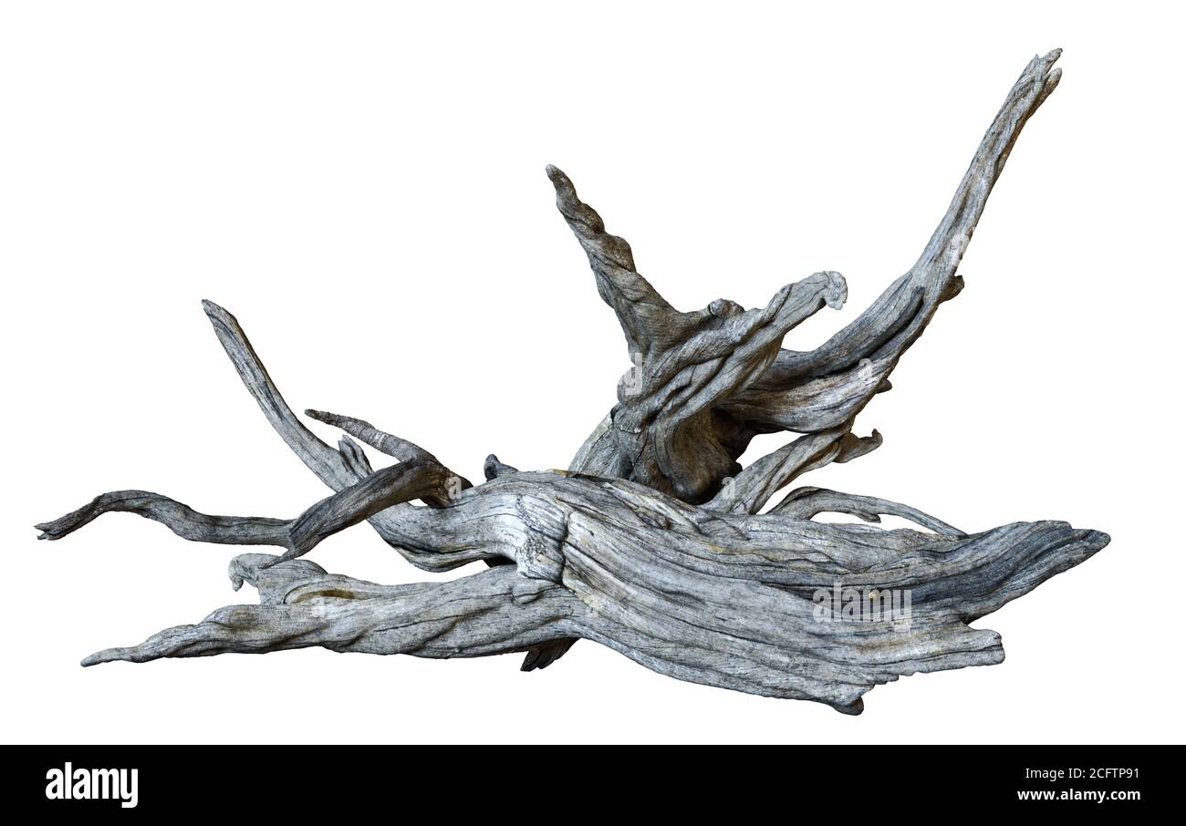 5,900+ Driftwood Branch Stock Photos, Pictures & Royalty-Free Images -  iStock