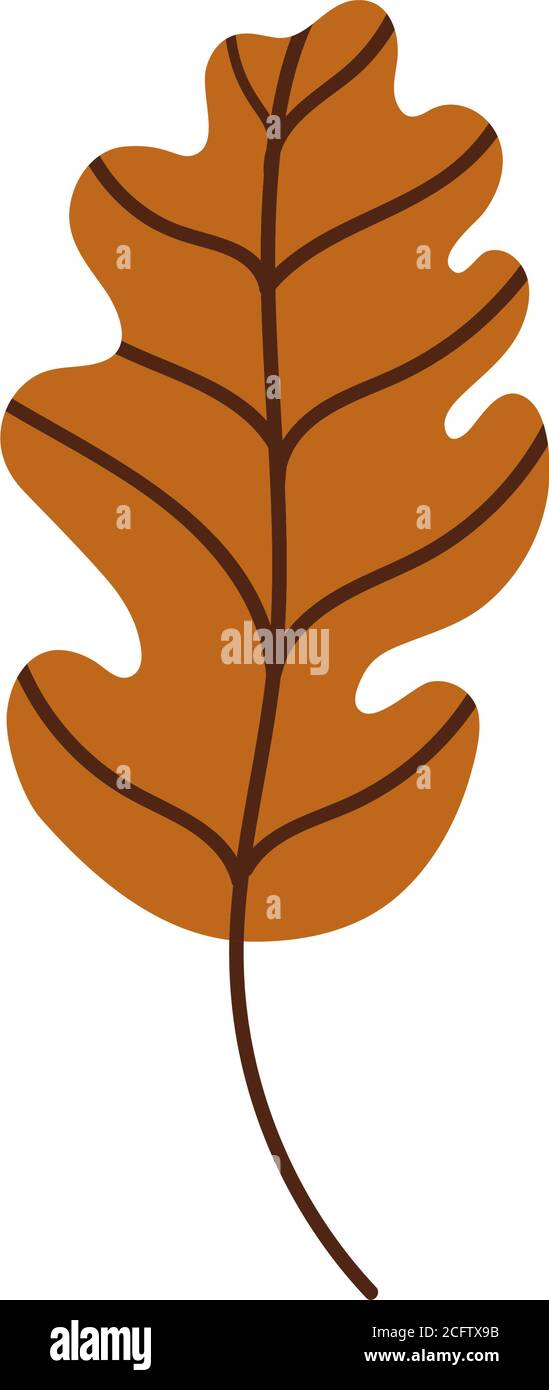 Forest leaf litter Stock Vector Images - Alamy