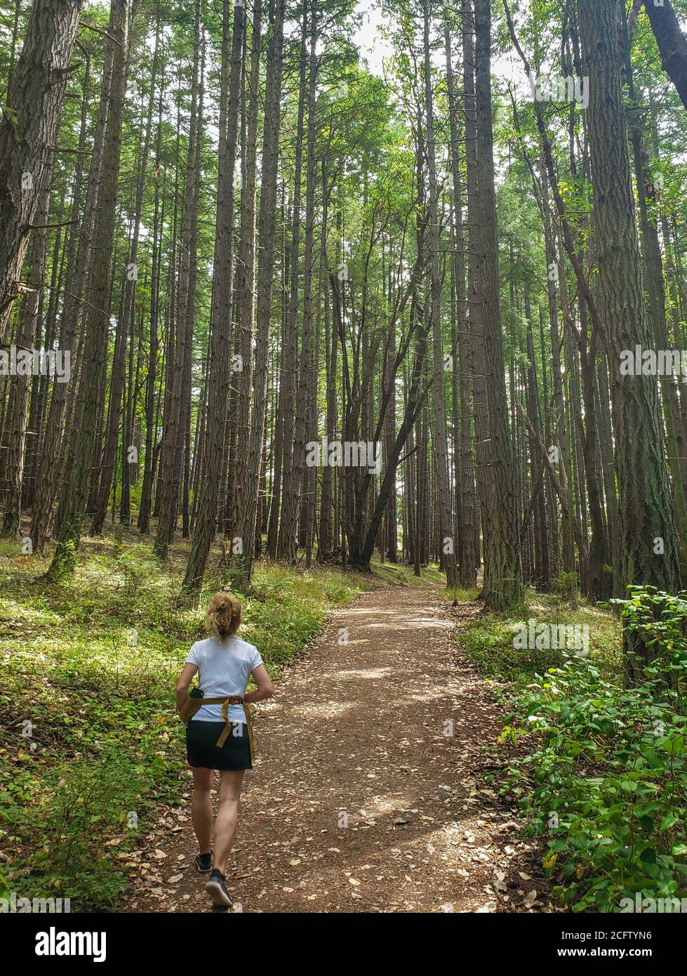 One woman hiking trekking on a dirt path trail  through a lush green forest. Active lifestyle. Active retiree.  Model release. Stock Photo