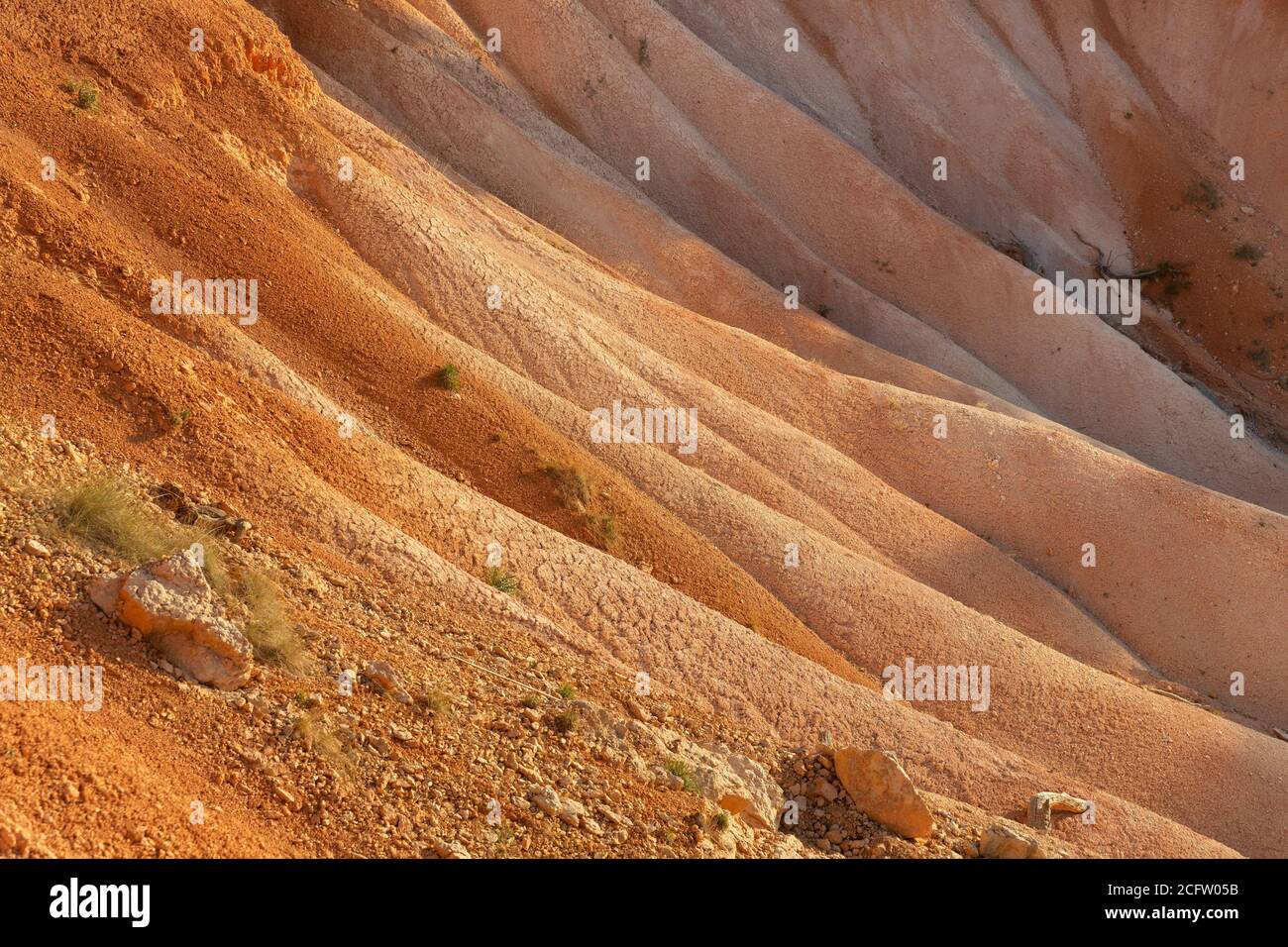Details of valley off of Queens Garden Trail, Bryce Canyon National Park, Utah, USA Stock Photo