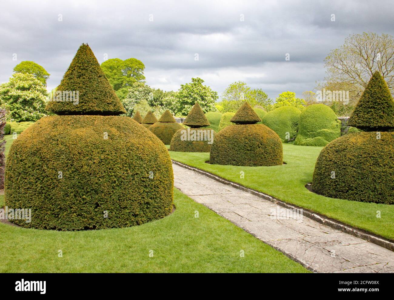 An English country garden with rounded topiary bushes with a conical top Stock Photo