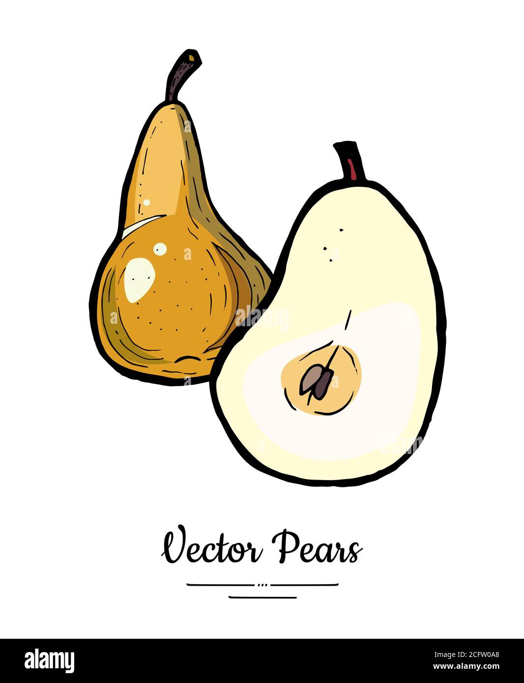Pears fruits vector isolate. Brown pear whole chopped half cut slice ...