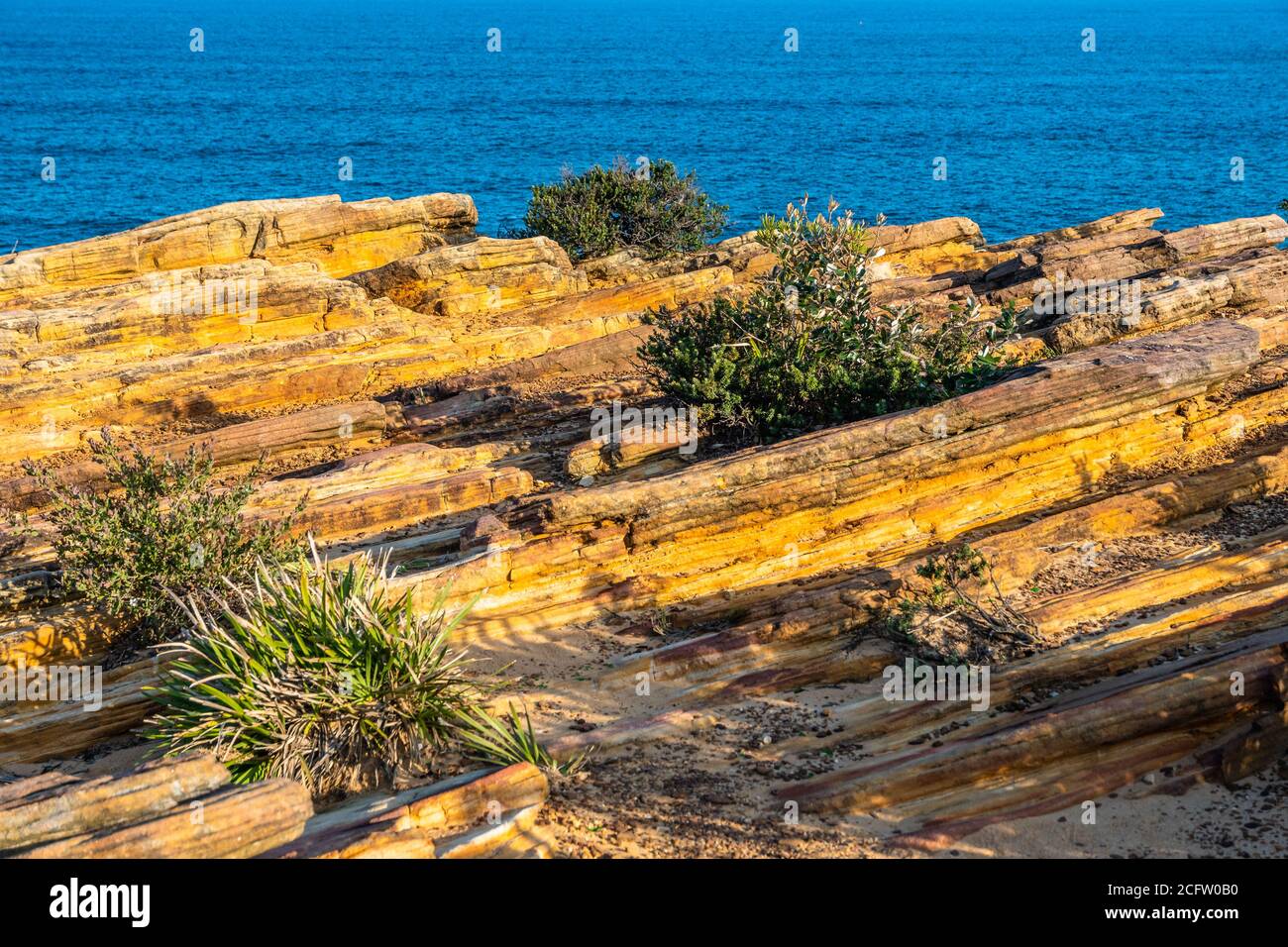 Sedimentary rocks near Coogee Beach, Sydney NSW Australia Stock Photo