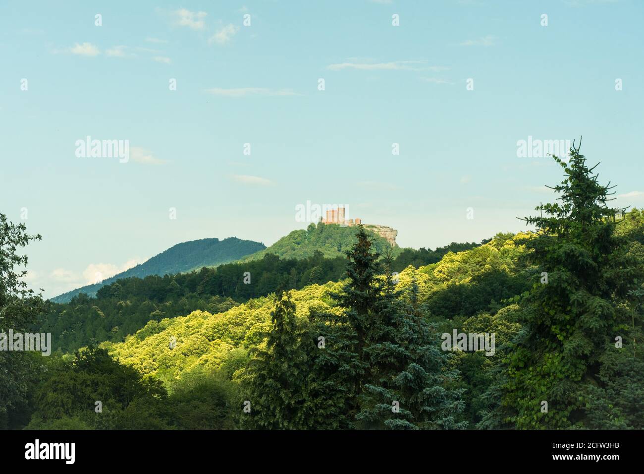 view on the castle ruin of trifels in the southwest palatine forest (pfälzer wald) in rheinland-pfalz, germany Stock Photo