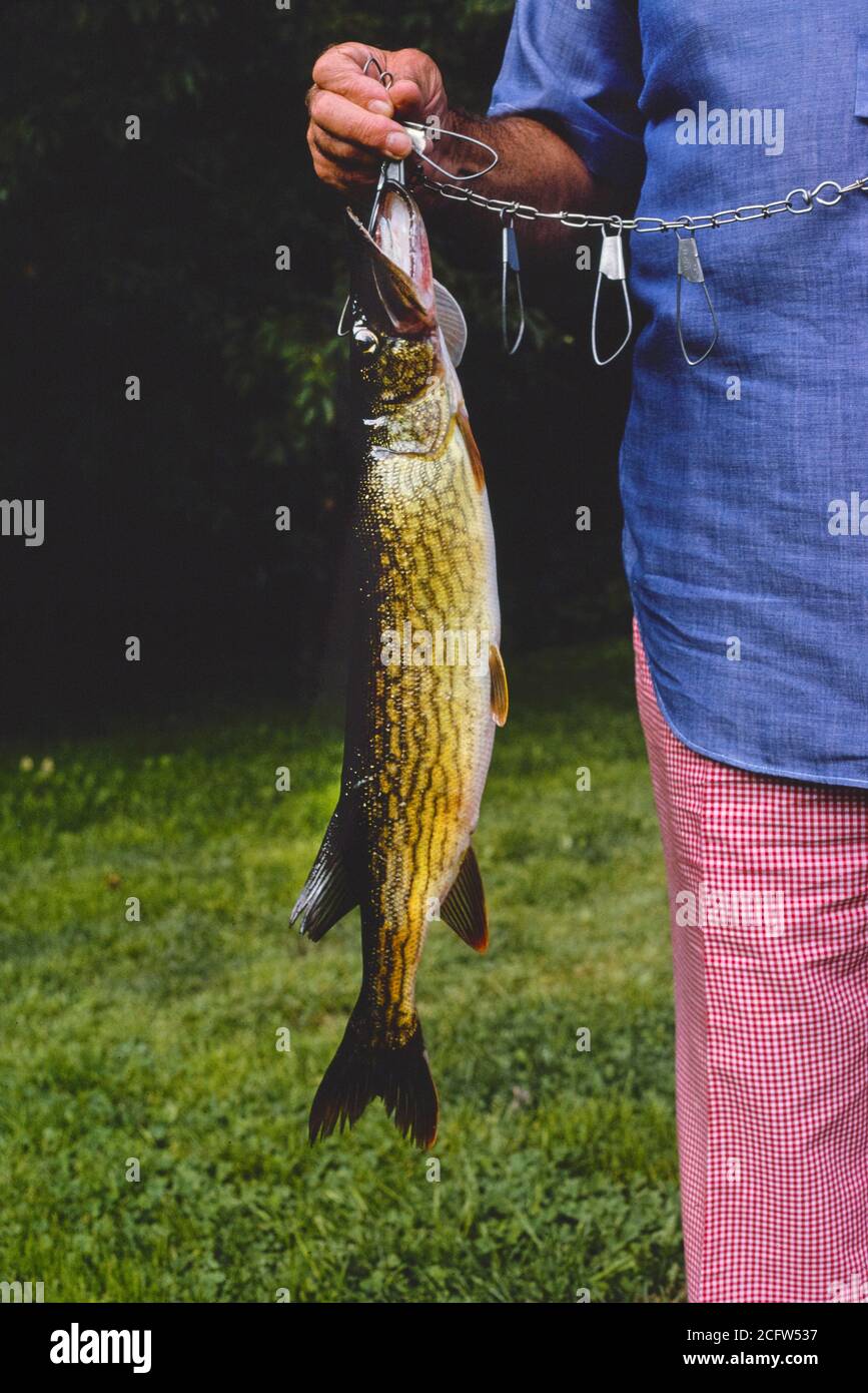 Livingston manor catskills hires stock photography and images Alamy