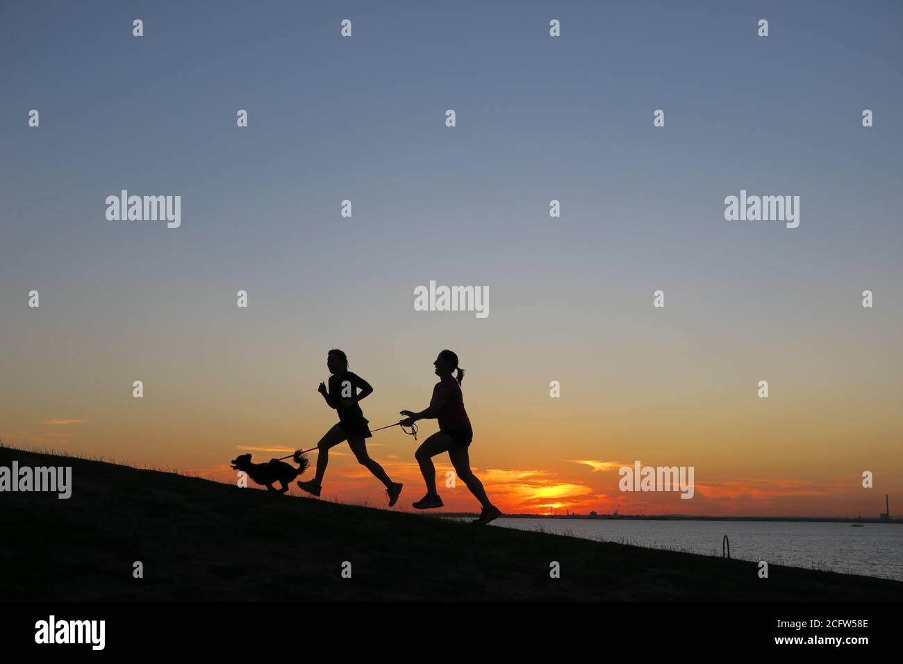 Melbourne Australia. Scenes of daily life in Melbourne Australia . Running up a hill at sunset with the dog. Stock Photo