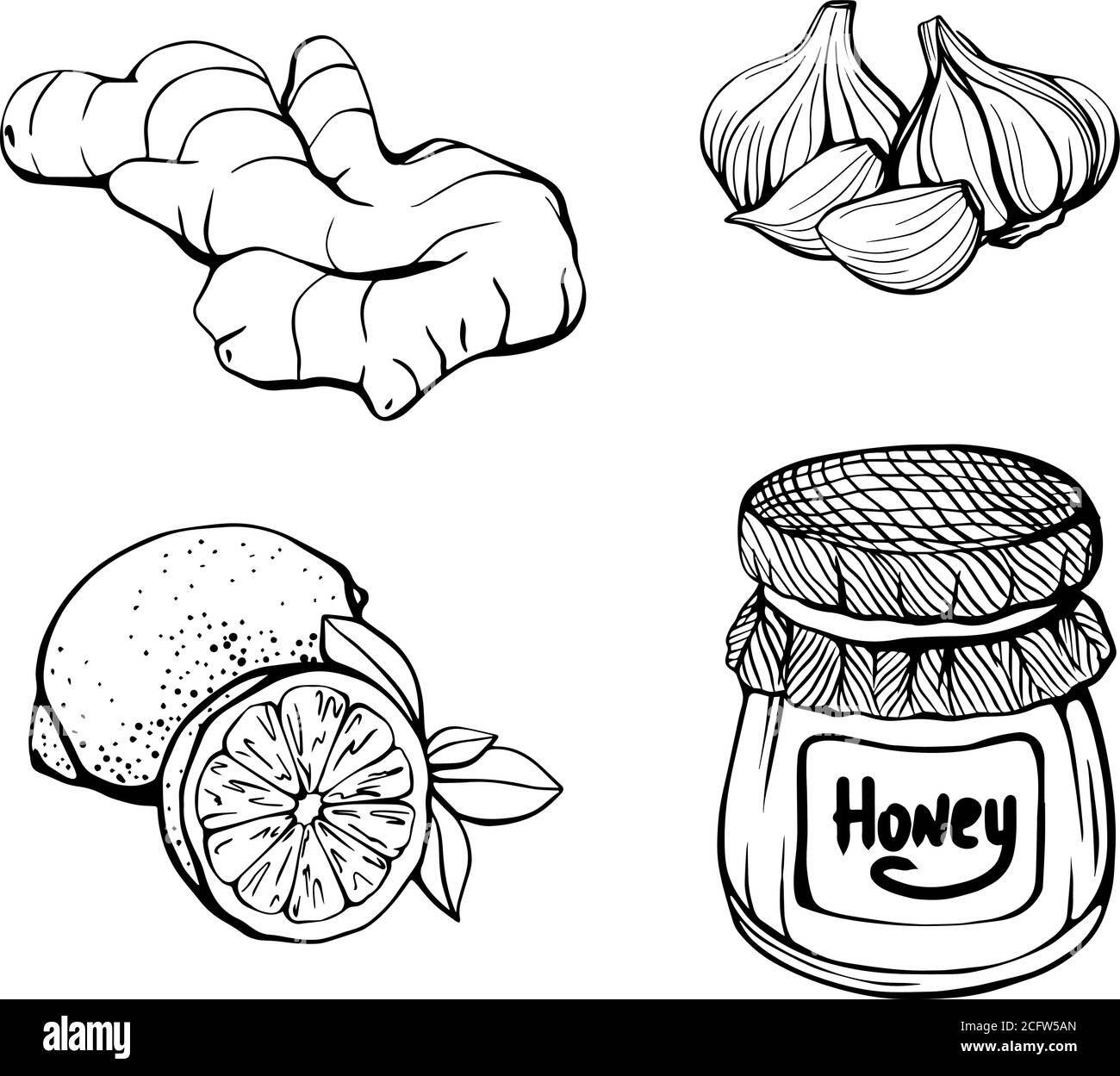 Healthy food. lemon, honey, ginger, garlic Stock Vector Image & Art Alamy