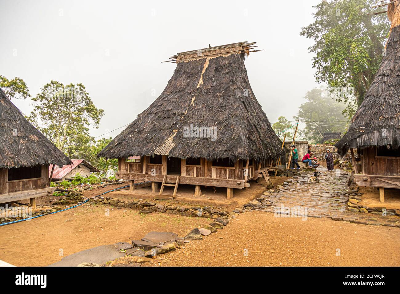 A traditional house with a tall, steeply pointed thatched roof stands in a mountain village near Moni, Flores, Indonesia. Stock Photo