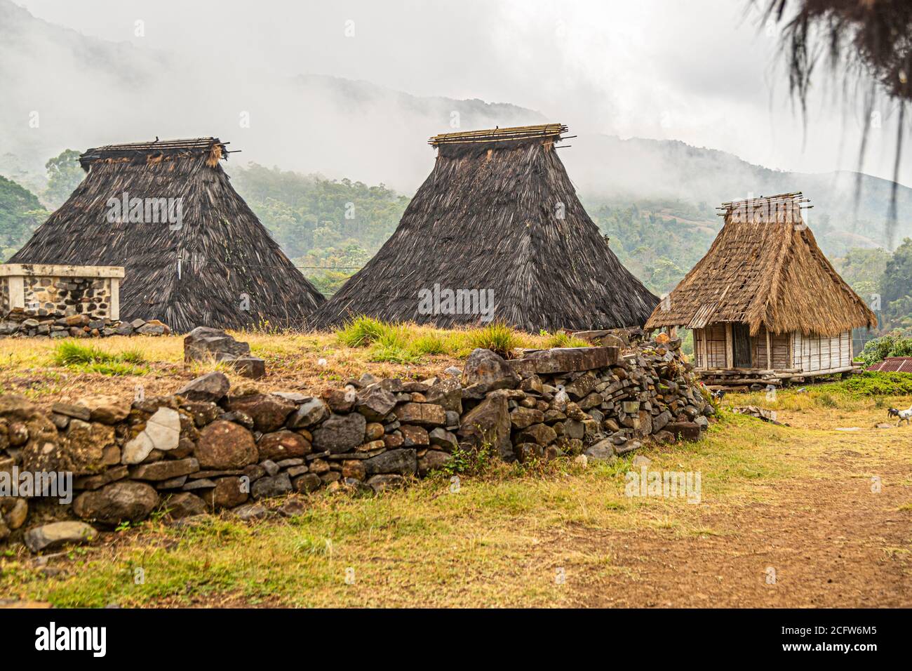 Three lumbung-houses with tall, cone-shaped thatched roofs stand behind a low stone wall in a mist-shrouded mountain village near Moni, Flores, Indonesia. Stock Photo