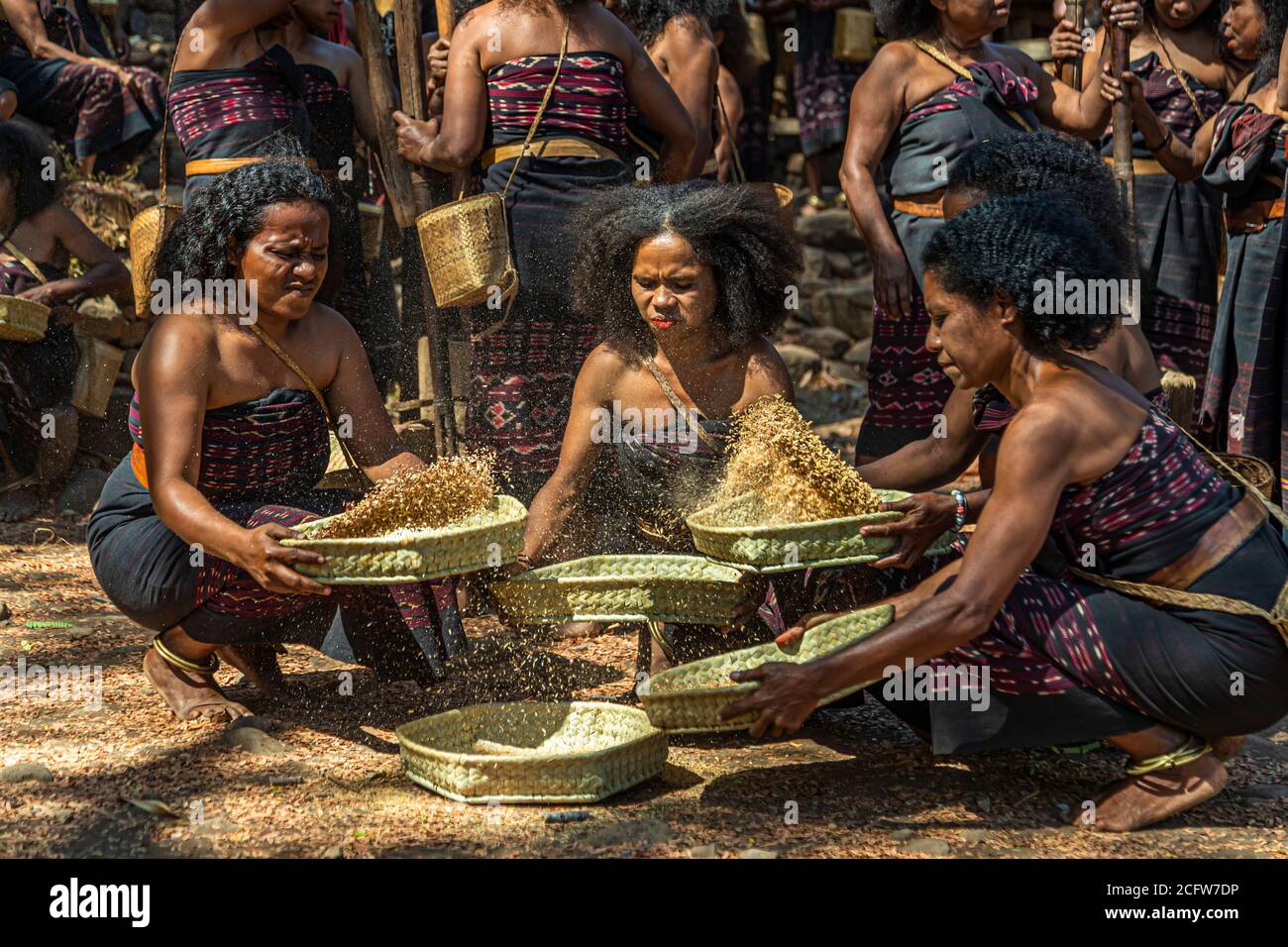 Three women toss grain in flat bamboo winnowing trays into the air, separating the chaff from the grain in the village of Takpala, Alor, Indonesia. Stock Photo