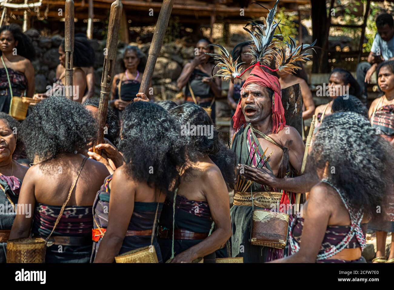 The lead dancer in the red headscarf raises his arms as the women stand close around him during the Lego-Lego dance in the village of Takpala, Alor, Indonesia. Stock Photo