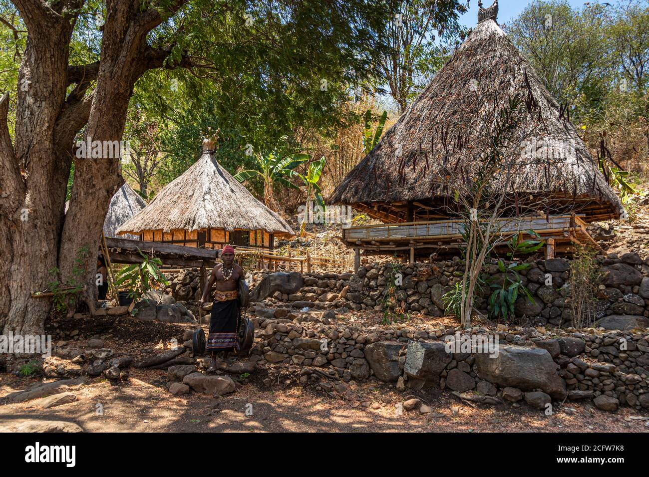 Instead of fixed stairs, steep ladders that can be moved aside lead up to the raised lumbung storehouses in the village of Takpala, Alor, Indonesia – a woman stands at the foot of the terrace. Stock Photo