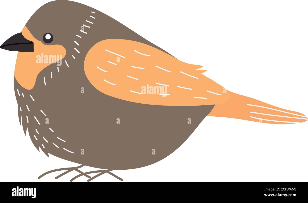 cartoon robin bird icon over white background, flat style, vector illustration Stock Vector